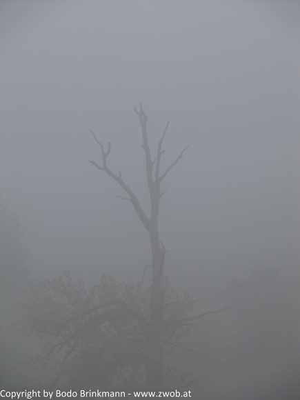 Sky-IMG_0741