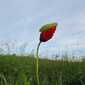 Sky-IMG_0831