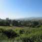 Sky-IMG_0223
