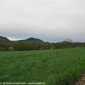 Sky-IMG_0362