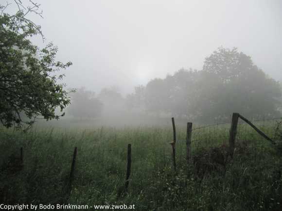 Sky-IMG_0732
