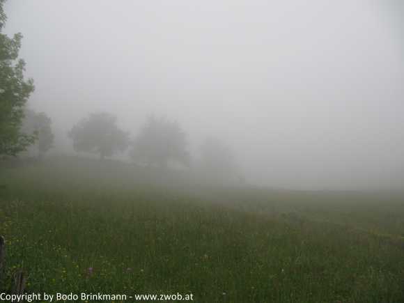 Sky-IMG_0719