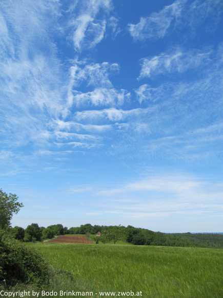 Sky-IMG_0863
