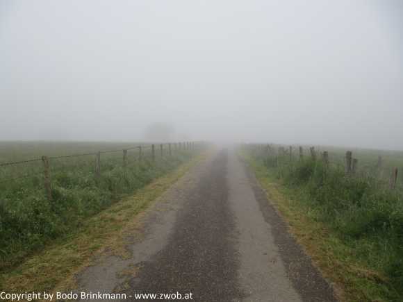 Sky-IMG_0737