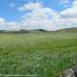 Sky-IMG_0529