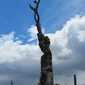 Sky-IMG_0435