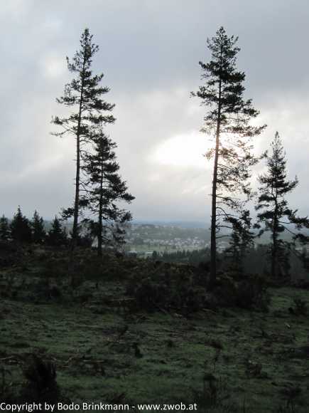 Sky-IMG_0488