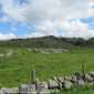 Sky-IMG_0532