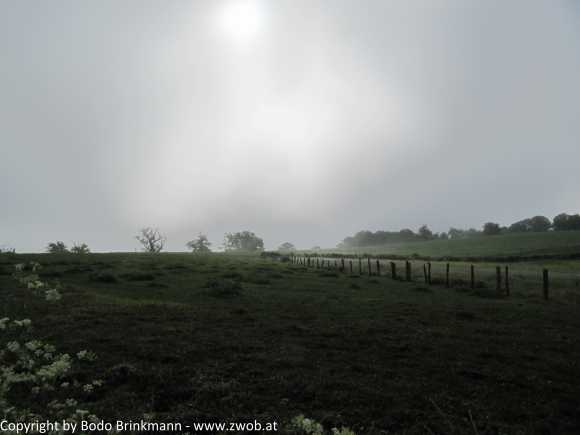 Sky-IMG_0749