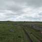 Sky-IMG_0508