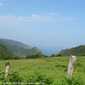 Sky-IMG_0608