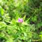 Sky-IMG_0261