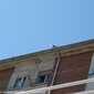 Sky-IMG_0928