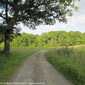 Sky-IMG_0407