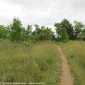 Sky-IMG_0032
