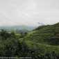 Sky-IMG_0481