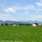 Sky-IMG_0471
