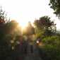 Sky-IMG_0703