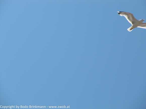 Sky-IMG_0931