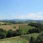 Sky-IMG_0430