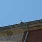Sky-IMG_0929