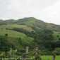 Sky-IMG_0518