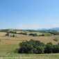Sky-IMG_0429
