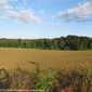 Sky-IMG_0286