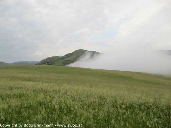 Sky-IMG_0530