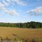 Sky-IMG_0287