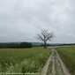 Sky-IMG_0008