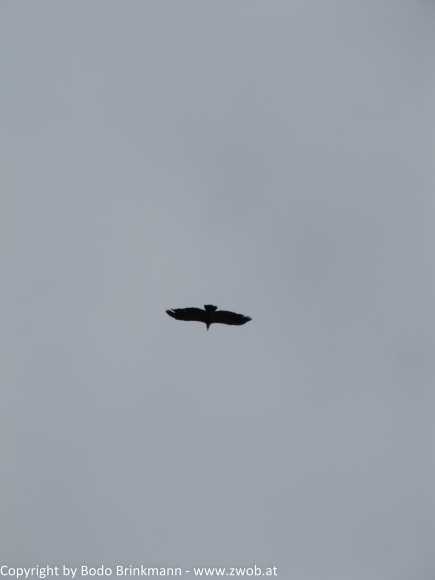 Sky-IMG_0563