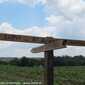 Sky-IMG_0147