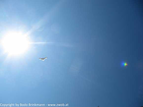 Sky-IMG_0927