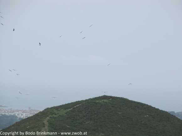 Sky-IMG_0555