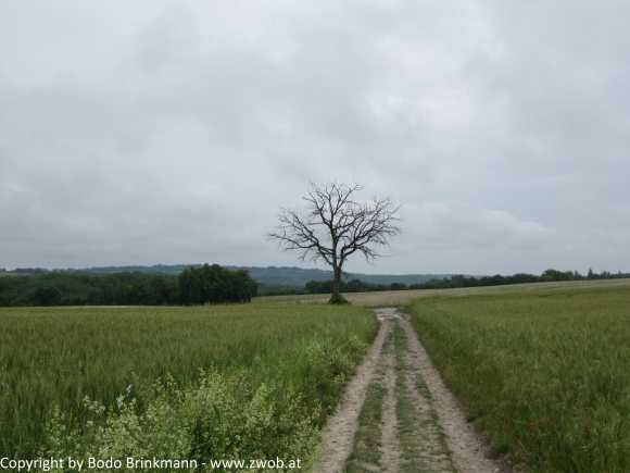 Sky-IMG_0008