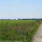 Sky-IMG_0316