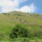 Sky-IMG_0799