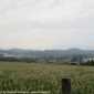 Sky-IMG_0522