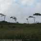 Sky-IMG_0779