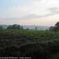 Sky-IMG_0203