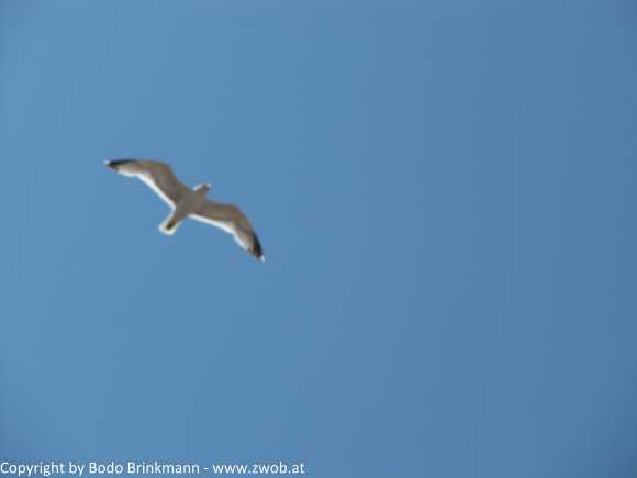 Sky-IMG_0934