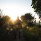 Sky-IMG_0704