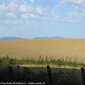 Sky-IMG_0414