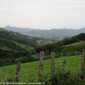 Sky-IMG_0519