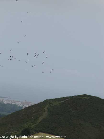 Sky-IMG_0558