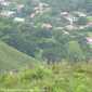 Sky-IMG_0552