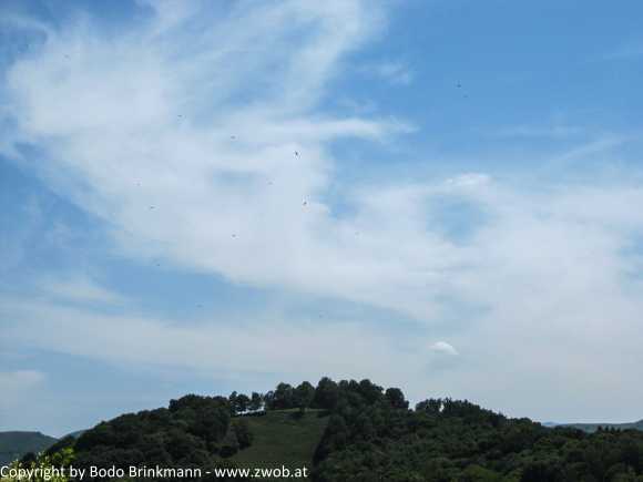 Sky-IMG_0469