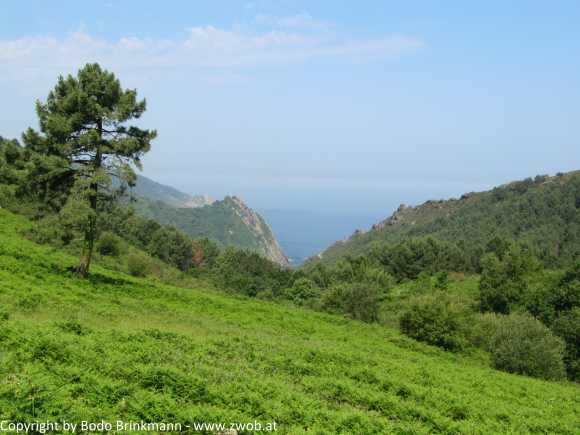 Sky-IMG_0609