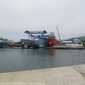Sky-IMG_0679